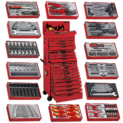 Big sale- Teng Tools 1001 Piece Mega Master Mixed Hand Tool Kit-TCMM1001N